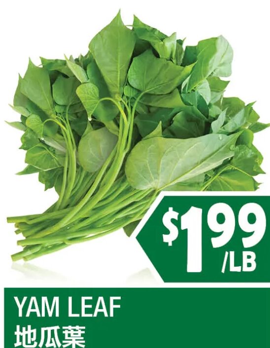 YAM LEAF