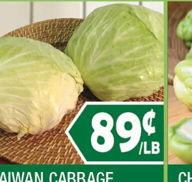 TAIWAN CABBAGE