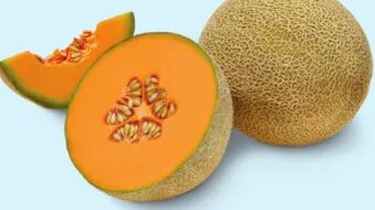 Cantaloupe