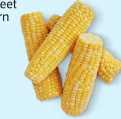 Sweet Corn