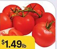 Tomatoes on the Vine