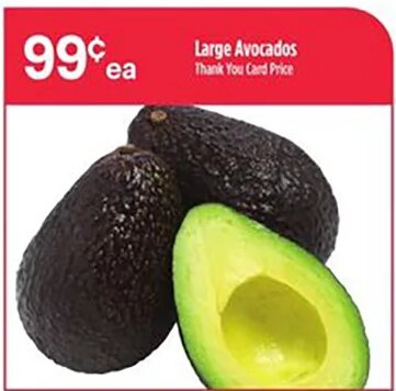 Large Avocados