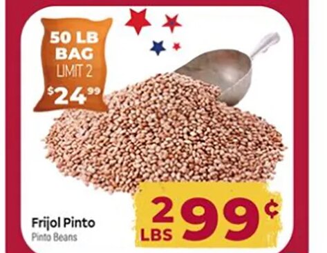 Frijol Pinto
