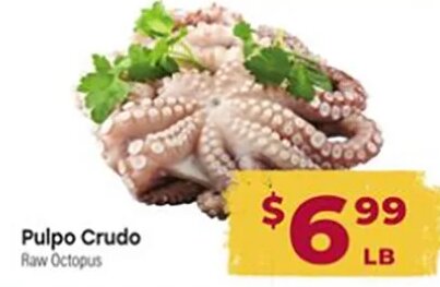 Pulpo Crudo
