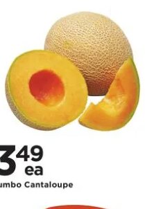 Jumbo Cantaloupe