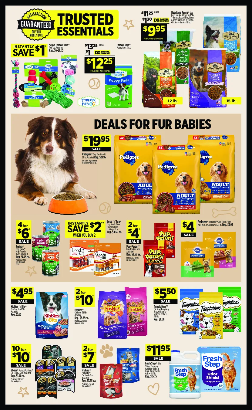 Dollar General Weekly Ad Page 13