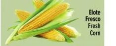 Elote Fresco Fresh Corn