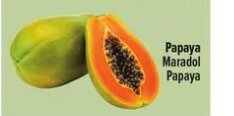 Papaya Maradol