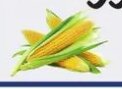 Elote Fresco Fresh Corn