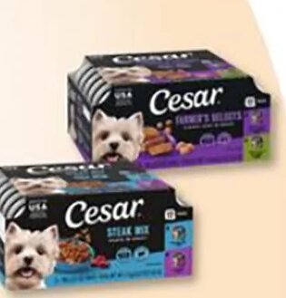 Cesar Wet Dog Food