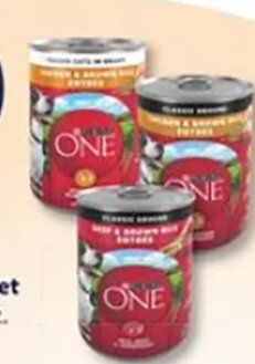 Purina ONE Wet Dog Food