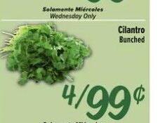 Cilantro