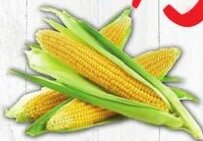 Elote Dulce Sweet Corn