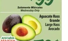 Aguacate Hass