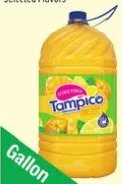 Bebida de Frutas Tampico