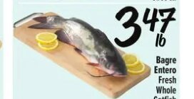Bagre Entero Fresh Whole Catfish