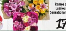 Ramos de Flores Luscious Rose or Sensational Bouquet