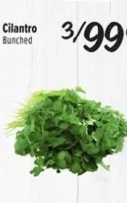 Cilantro
