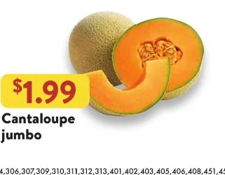 Cantaloupe