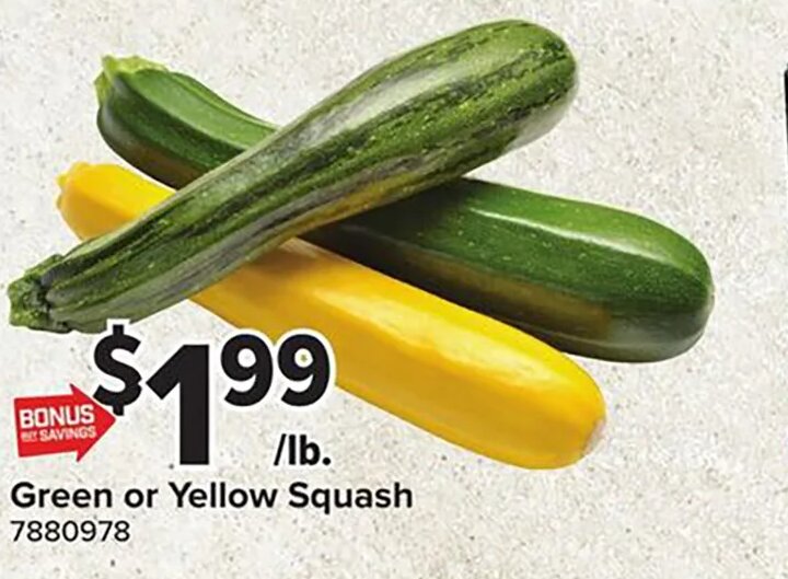 Green or Yellow Squash