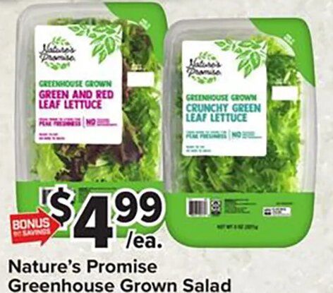 Nature's Promise Greenhouse Grown Salad at Giant Food