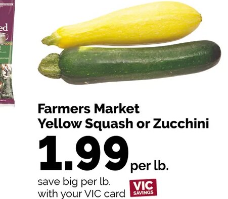Farmers Market Yellow Squash or Zucchini