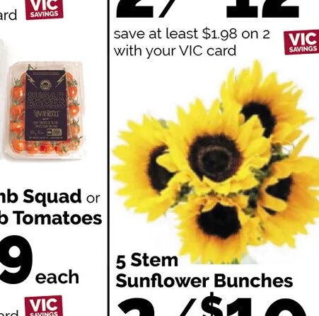 Sunset Bomb Squad or Sugar Bomb Tomatoes