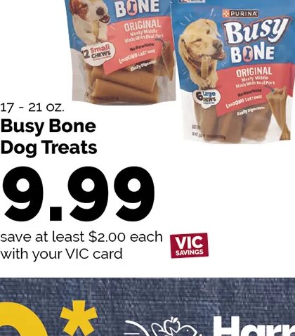 Busy Bone Dog Treats