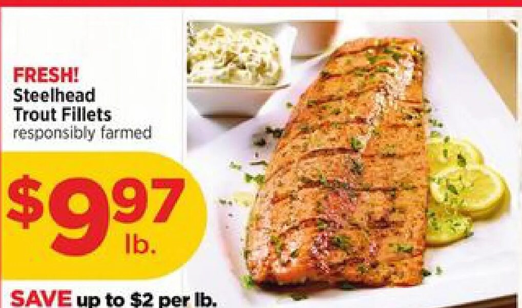 FRESH! Steelhead Trout Fillets
