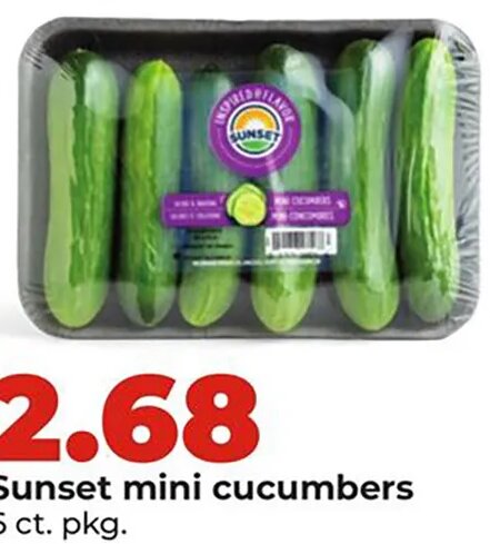 Sunset mini cucumbers