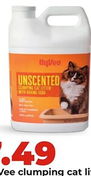 Hy-Vee clumping cat litter