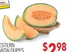 WESTERN CANTALOUPES