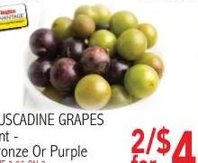 Muscadine Grapes at Ingles Markets