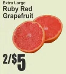 Extra Large Ruby Red Grapefruit