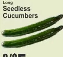 Seedless Cucumbers
