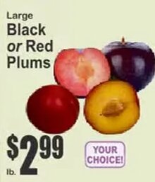 Large Black or Red Plums