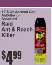 Raid Ant & Roach Killer