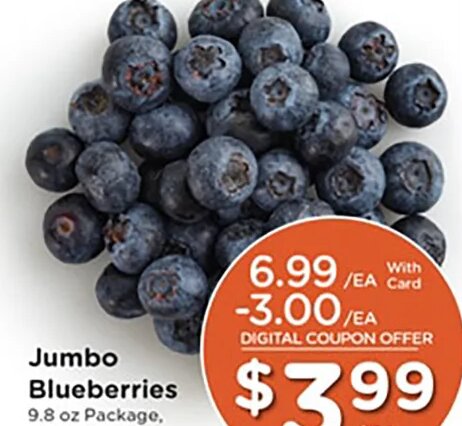 Jumbo Blueberries