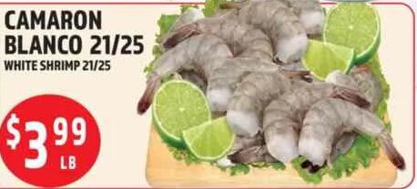 CAMARON BLANCO 21/25