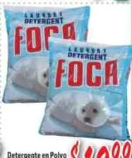 Foca
