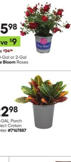 1.72-GAL Porch Planter