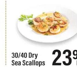 30/40 Dry Sea Scallops