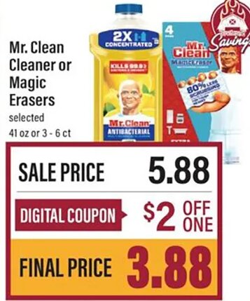 Mr. Clean Cleaner or Magic Erasers