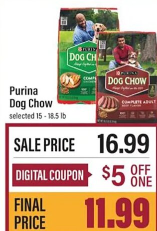 Purina Dog Chow at Lowes Foods