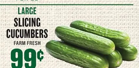 Large Slicing Cucumbers