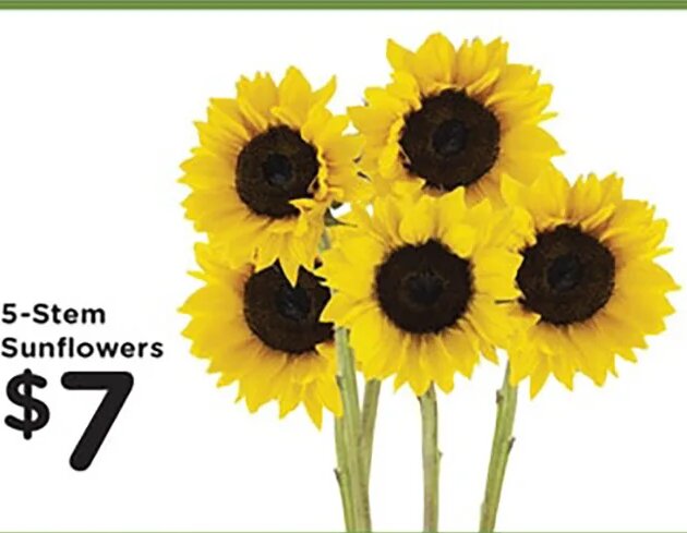 5-Stem Sunflowers