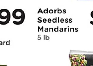 Adorbs Seedless Mandarins