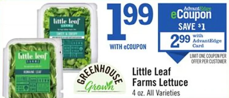 Little Leaf Farms Lettuce