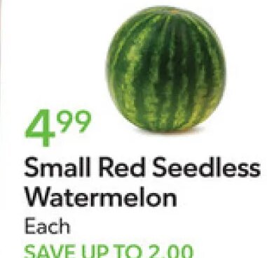 Small Red Seedless Watermelon at Publix