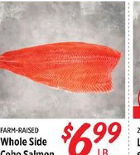 Whole Side Coho Salmon at Rouses